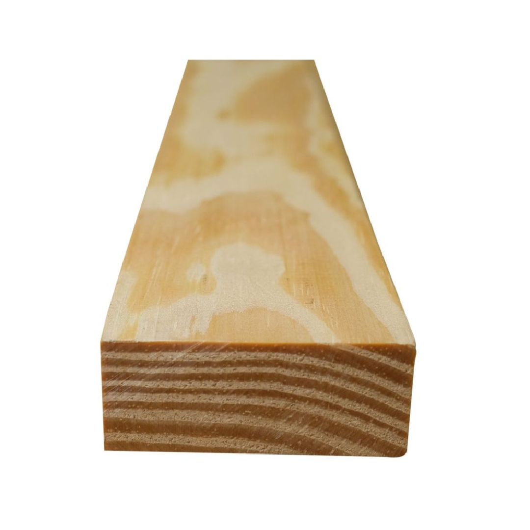 Pinus Tratado 05 07