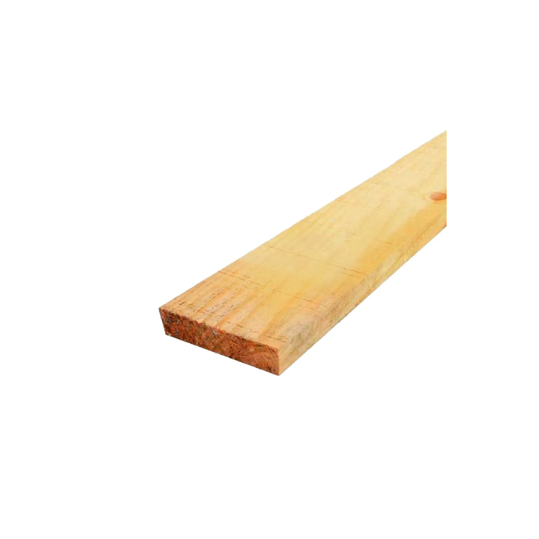 Sarrafo Pinus 10 15 1080